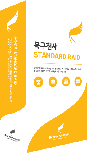 Standard RAID